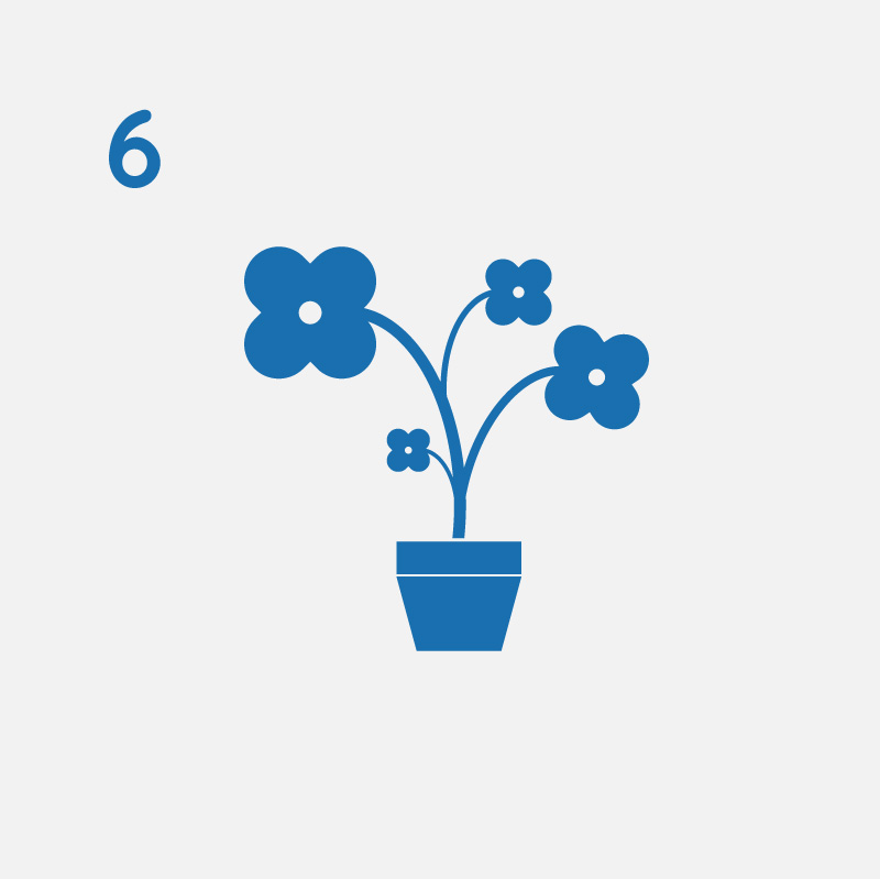 6-FLOWERS
